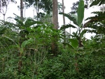 50916CIMG0269.JPG