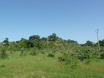 19420P1010267.JPG