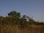 9004RIMG0080.JPG