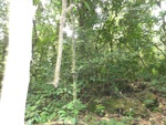 50262DSC02064.JPG