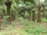 50713CIMG1342.JPG