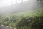 2024-11-21_16-34-30_0D3E0FB2-61C1-4C33-AA52-8BA0142E03C1.jpeg