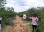1169908-road-buldozera.gif