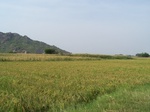 17349100_2035.JPG