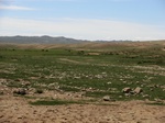 37914CIMG1721.JPG