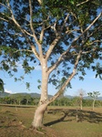 32048IMG_5679.jpg