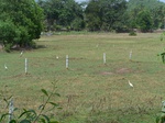 1714319042008(58).JPG