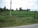 33531IMG_5782.JPG