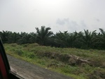 50745CIMG1374.JPG