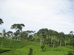 13664IMG_3925.JPG