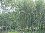34800CIMG1447.JPG