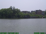 1696R0015302_tag.jpg
