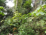 50190DSC01989.JPG