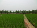 53931CIMG3704.JPG