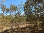 2012-08-28_20-34-48_P1010137.jpg