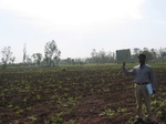 9380gt067b-cropland-rainfed-supplemental-mixed-crops.gif
