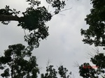 53327CIMG6607.JPG