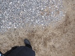 9744IMG_0021.JPG