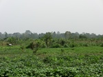 50773CIMG1402.JPG