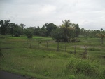 33310IMG_5646.JPG