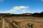 28706P1010723-1.JPG