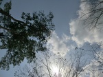 46461CIMG0750.JPG