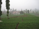 15019IMG_3830.JPG