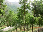 53473CIMG6810.JPG