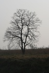 4208IMG_8846.JPG