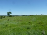54275P1090017.JPG