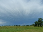 21576P1010400.JPG