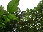 45538CIMG2623.JPG