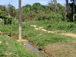 2012-08-31_10-24-30_CIMG0101.JPG