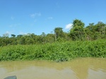 54608Bulungan (103).JPG
