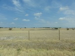 35555DSC02053.JPG