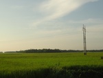 26109DSC01137.JPG