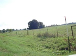 32545p197.jpg