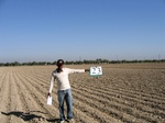 11476023-Farm land (Surface water) Winter wheat-a.jpg