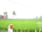 15354IMG_4195.JPG