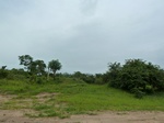 18602P1000439.JPG