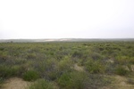 25988WEST-IMG_1440.JPG