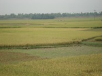 21762DSC08335.JPG