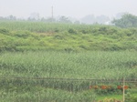 32657CIMG1776.JPG