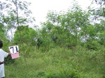 1179271-plantation-young-multipurpose-b.gif