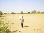 6536gt047-cropland-1.jpg