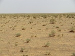 36734CIMG0503.JPG