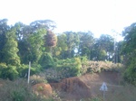 43383R0012354.JPG
