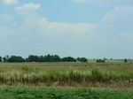 55339CIMG1392.JPG