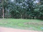 44569CIMG1754.JPG