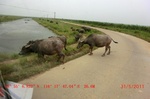 38973CIMG4619.gps.jpg
